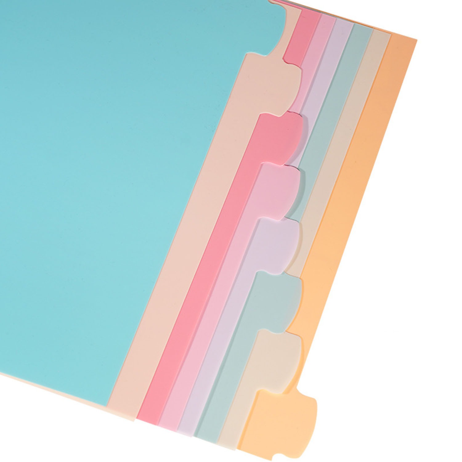 8 Tab Binder Dividers for 3 Ri - Paper Punch 3 Hole のレビューと価格